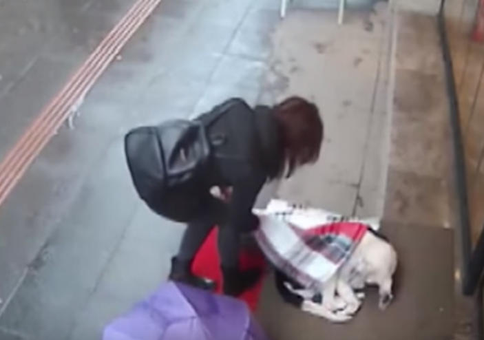 فيديو| فتاة تغطي كلبا بوشاحها لتحميه من البرد