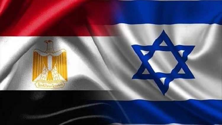 وزير عراقي أسبق يحذر من تدهور أمني في مصر بعد تصريحات السيسي