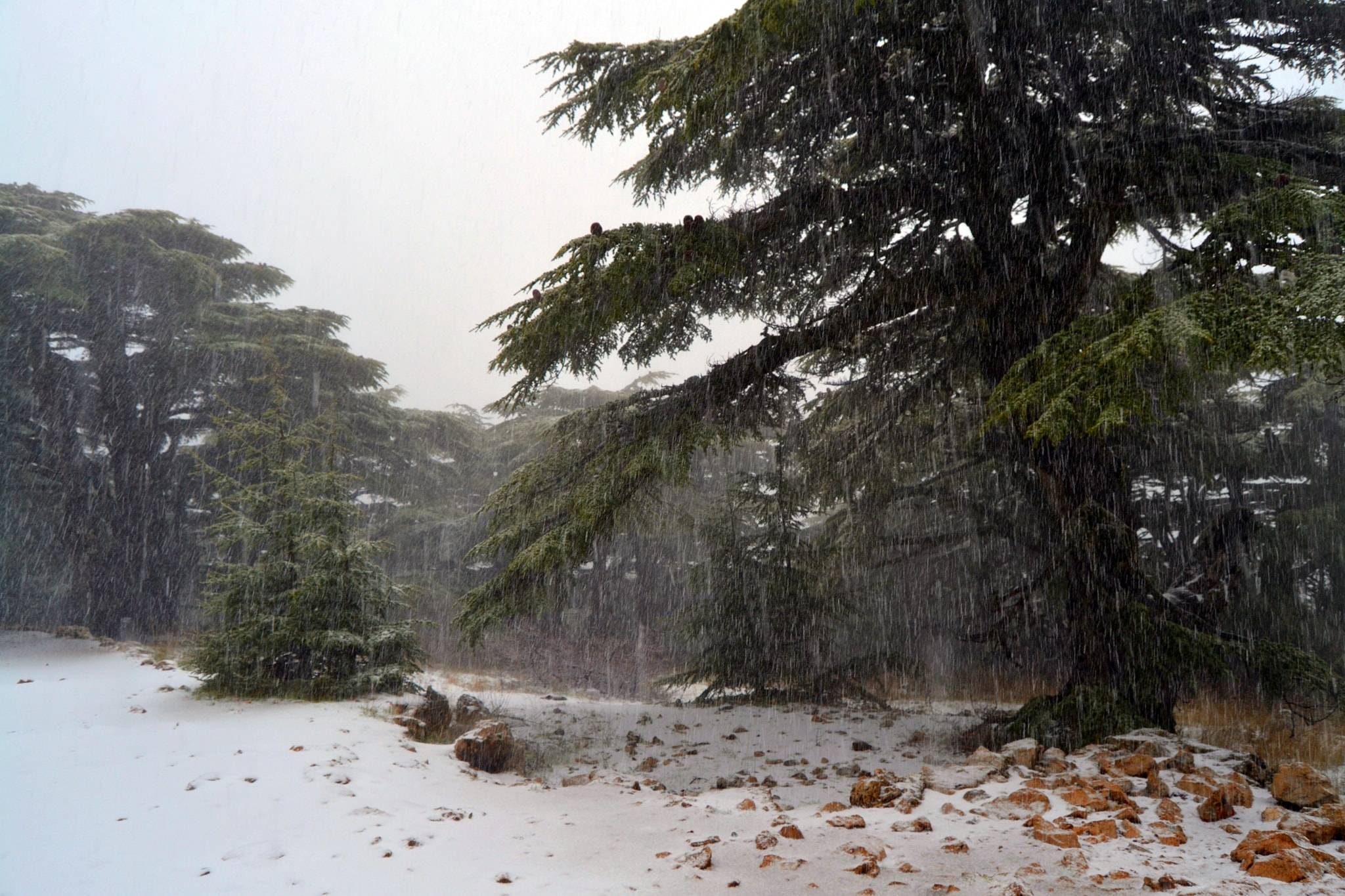 لبنان سيبقى تحث تأثير العاصفة لأكثر من 60 ساعة متتالية