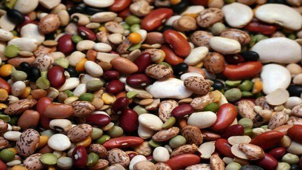 اربع مواد غذائية تجعل الإنسان عبقريا