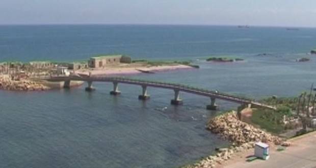 البقر في طرابلس والعجول في كسروان