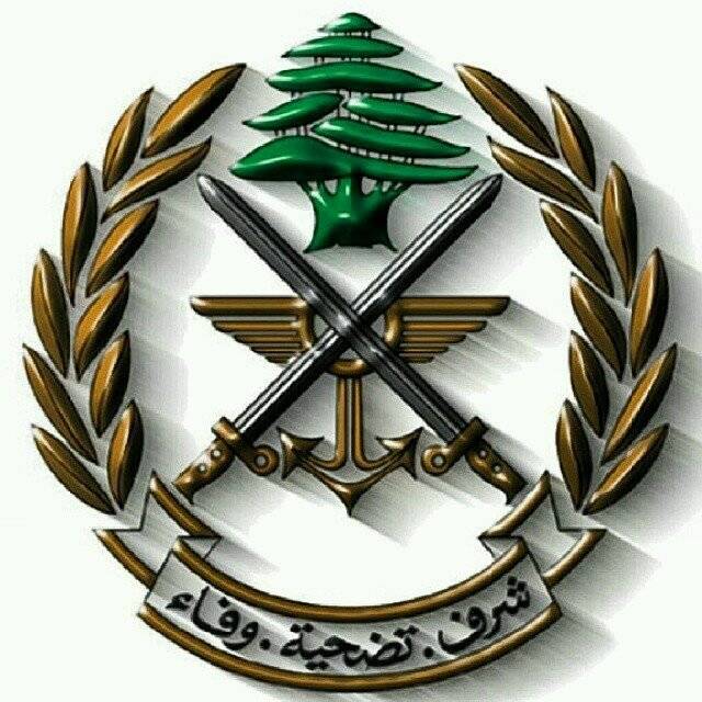الجيش: تفجير ذخائر في محيط وادي الحجير