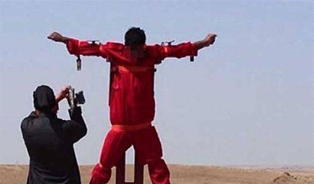 جديد 