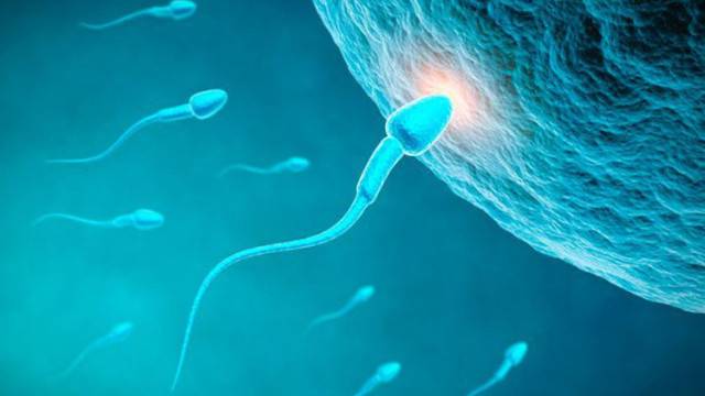 انخفاض الخصوبة لدى الرجال تسببه بعض المواد الكيميائية