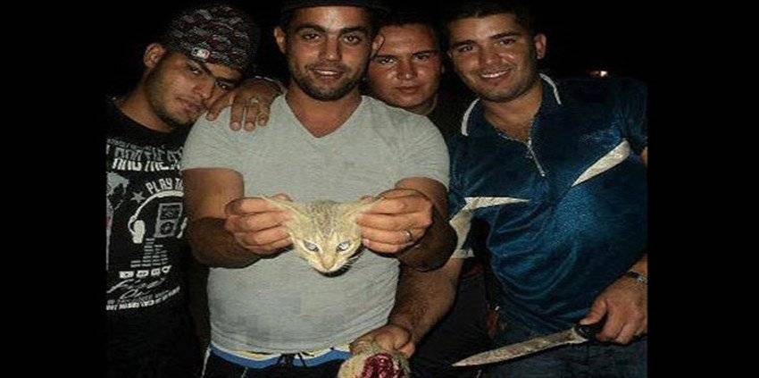 بالصور: تأهب بعد قيام 4 شبان في السويد بذبح قط على الطريقة الداعشية!