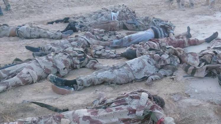 مصر.. المتحدث العسكري ينشر صور جثث منفذي هجوم سيناء