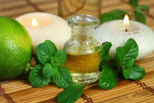 ما هي فوائد النعناع الأخضر؟