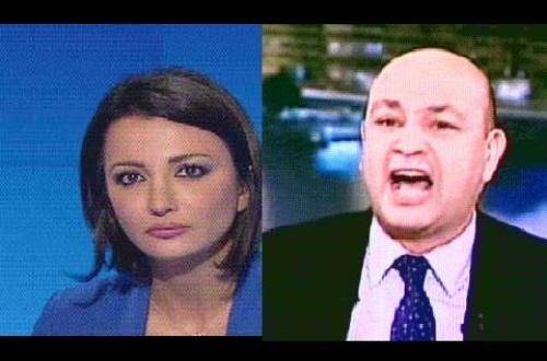 فيديو وصور ..مذيعة الجزيرة تهاجم عمرو أديب: مهرج أقرع