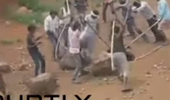 بالفيديو - العصي تنقذ رجلا هنديا من قبضة دب
