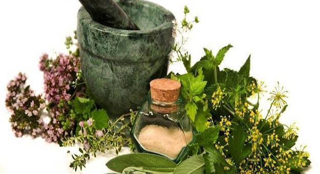 3 أعشاب تحارب الأمراض رغم مذاقها المر