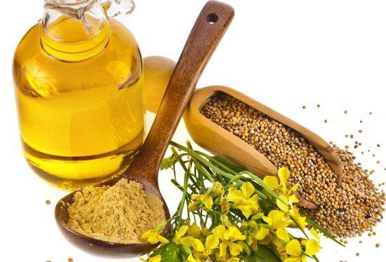 زيت الخردل اللاذع مفيد جداً لصحتك