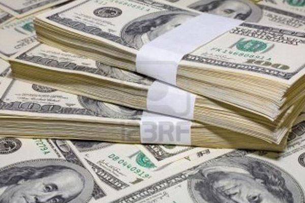 200 ألف دولار على غصن شجرة