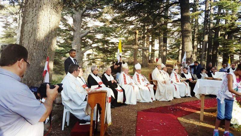 الراعي: لا نستطيع التفريط بوطن قاوم أجدادنا في سبيله