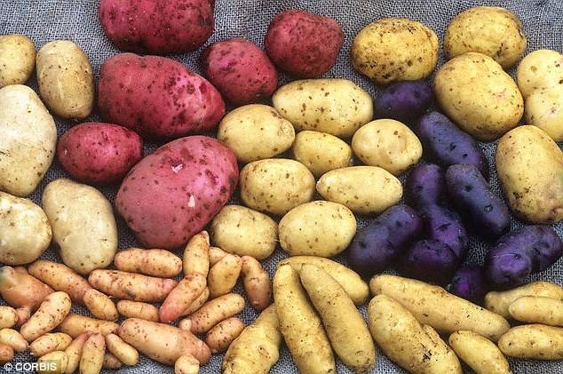 سر ذكاء الإنسان هو...