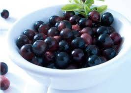 حبوب الاساى للتخسيس خلاصه التوت البري Acai berry
