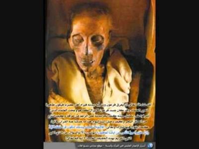 فيديو نادر جدا عن معجزات القران التي ادهشت العلماء!!