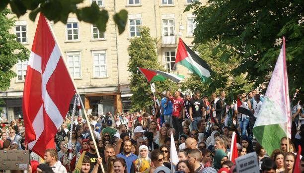 لجنة تحقيق دنماركية تنصف شباناً فلسطينيين طلبوا الجنسية
