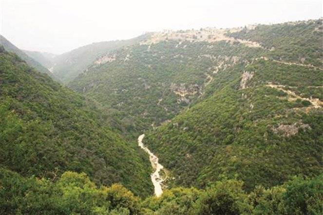 وادي المدفون وجسرها إلى الواجهة.. سياحياً