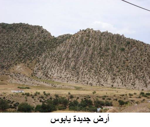 هل يتم نقل النفايات إلى جديدة يابوس بسوريا؟