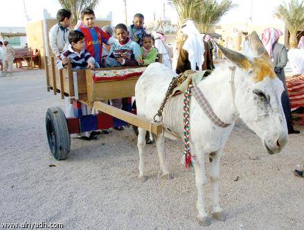 العودة إلى الحمار في سورية