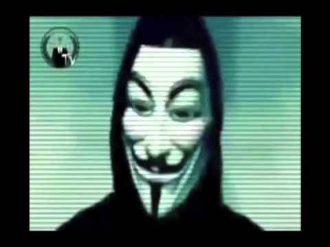 بالفيديو - 