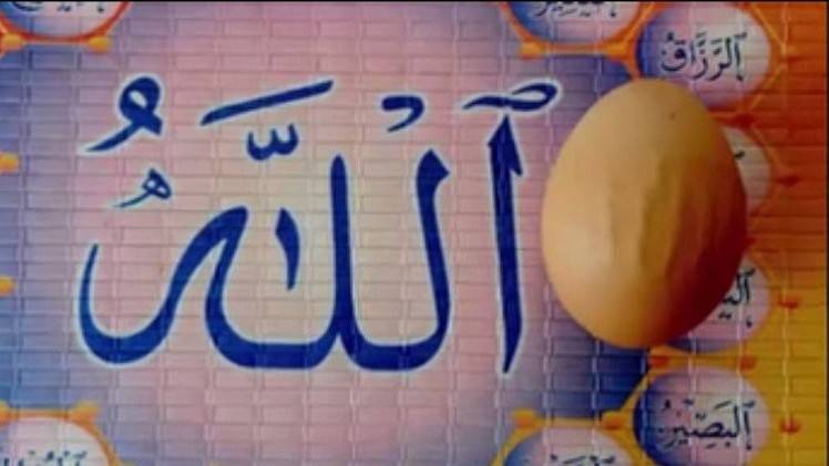 أعجوبة.. العثور على بيضة تظهر عليها كلمة لا إله إلا الله