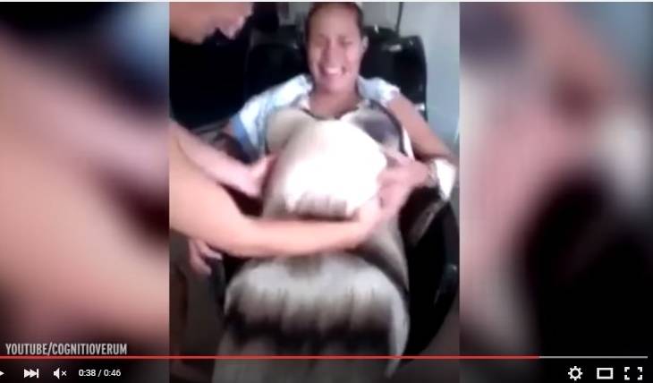 بالفيديو.. جنين يثير الهلع في البرازيل