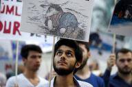 من حرب فيتنام إلى طفل سوريا الغريق.. الأثر الخالد للصورة الخبرية