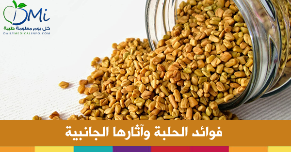 فوائد الحلبة وآثارها الجانبية