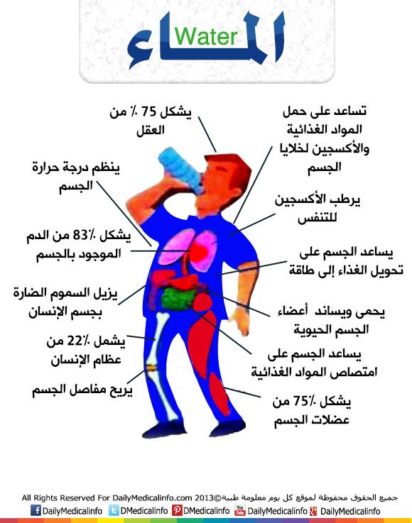 أهمية الماء لجسمك