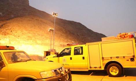 ماذا تفعل القرود في مكة المكرمة