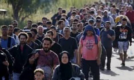6600 لاجئ دخلوا النمسا أمس وتوقعات بوصول 5 آلاف آخرين