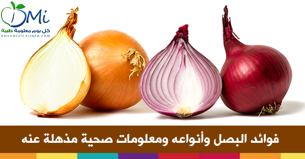 فوائد البصل، ومعلومات صحية مذهلة عنه