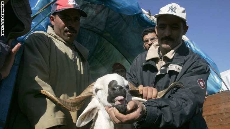 بعدما خالفها سابقًا.. المغرب يتفق مع السعودية في إعلان عيد الأضحى موعدًا موحدًا