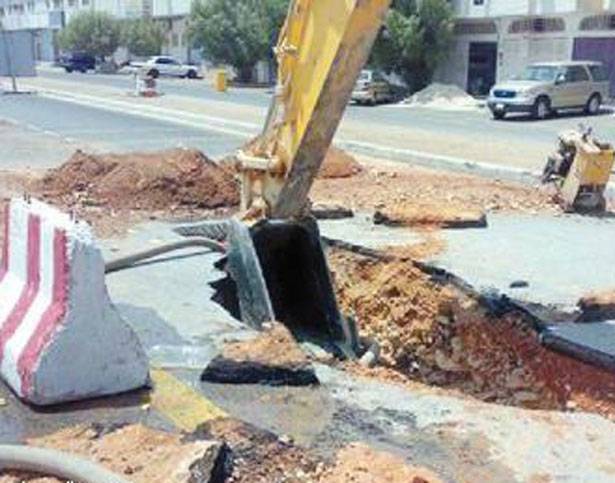 كشوفات المتعهدين المستحقة بلغت 256 مليار ليرة... والقطاع مهدد بالإفلاس!
حلو لـ «الديار» : مستحقات بذمة الدولة
عن مرافىء عامة بـ 20 مليار