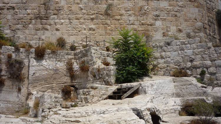 طفل روسي يعثر على خاتم داود وسط القدس