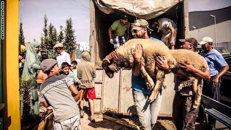 البطل العالمي بدر هاري يتبرّع بأضاحي العيد لفائدة أسر مغربية معوزة