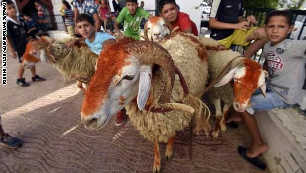 عيد الأضحى في الجزائر.. 