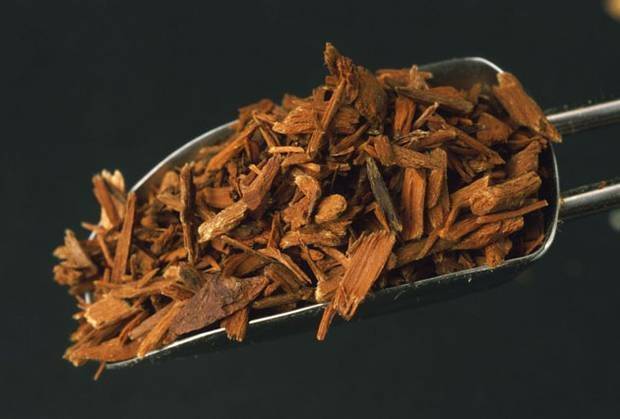 سر خسارة الوزن في.. شجرة!