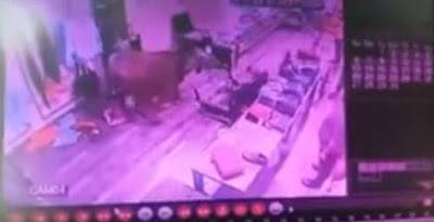 فيديو: عجل يقتحم محل ملابس في القاهرة