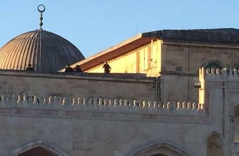 تجدد المواجهات في الأقصى بين المرابطين وقوات الاحتلال
