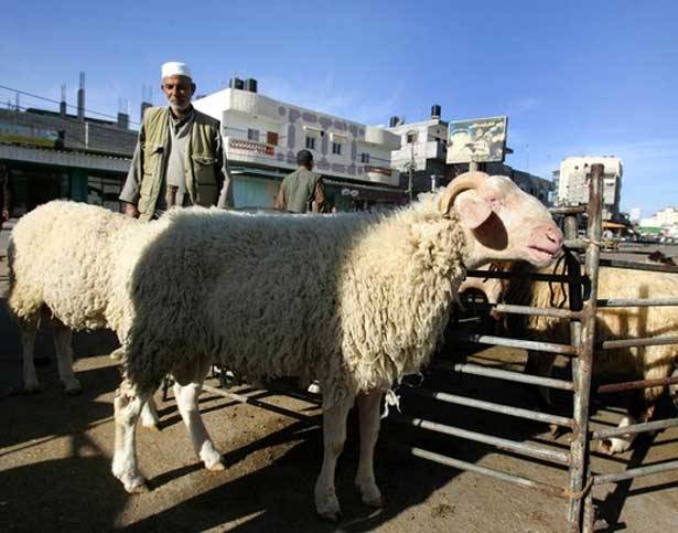 في العيد ...
