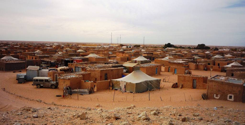 استنفار في حكومة المغرب استباقا لاعتراف السويد بالجمهورية الصحراوية