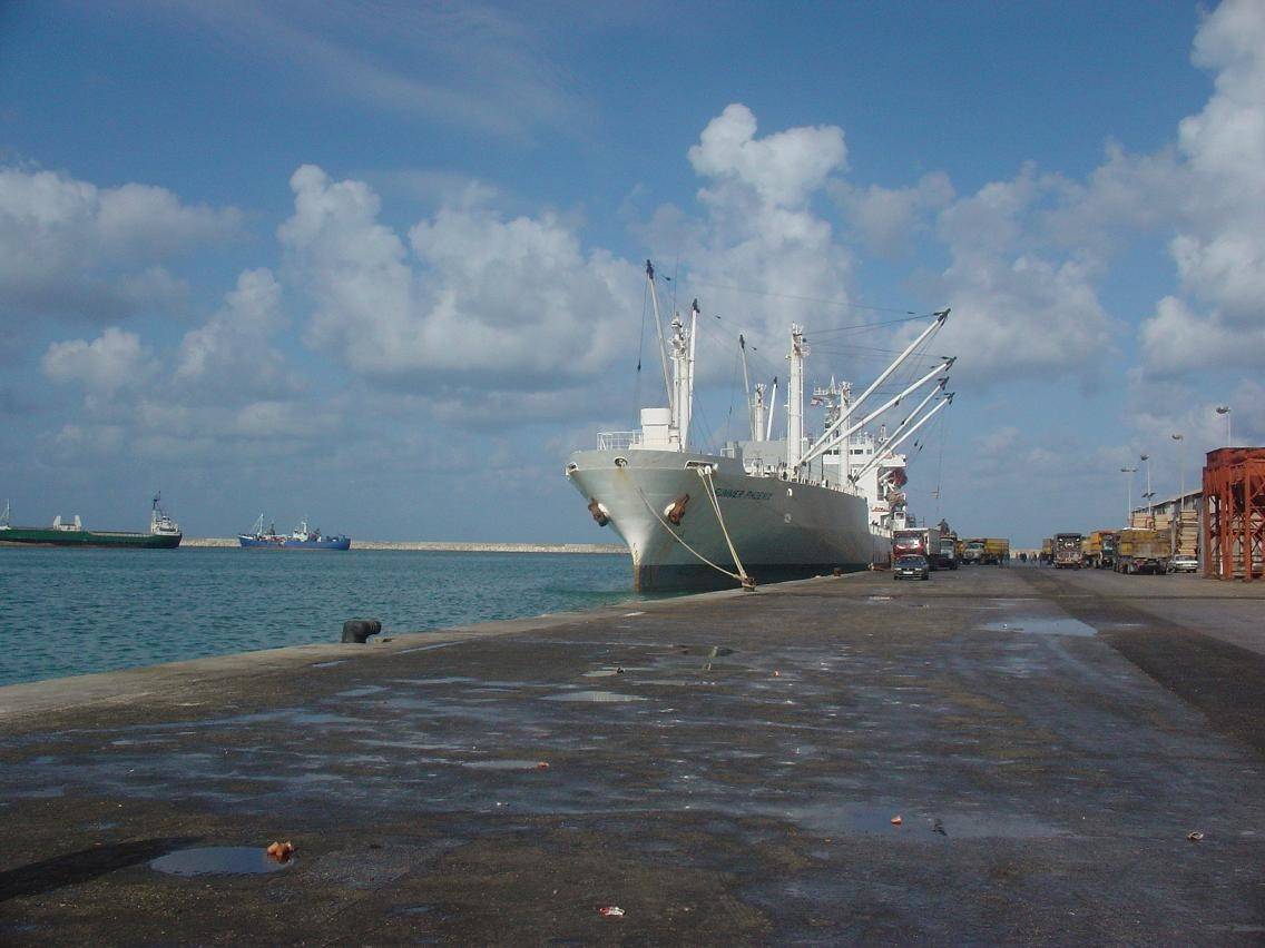 توقيف 40 مهاجراً فلسطينياً في مرفأ طرابلس
