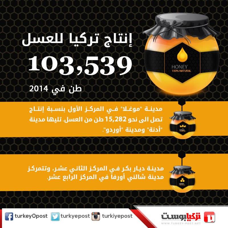 إنفوجرافيك: تُركيا تُنتج أكثر من 103 ألف طن عسل خلال عام