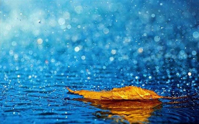 غيوم وأمطار.. هكذا سيكون طقس نهاية الاسبوع