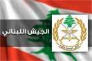 الجيش: حملة مداهمات واسعة في الشمال وتوقيف مطلوبين