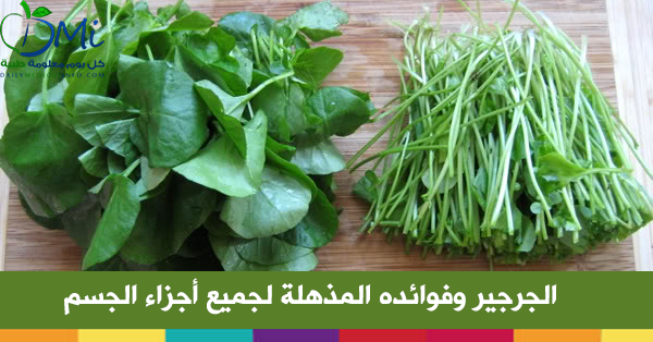 فوائد الجرجير المذهلة لجميع أجزاء الجسم