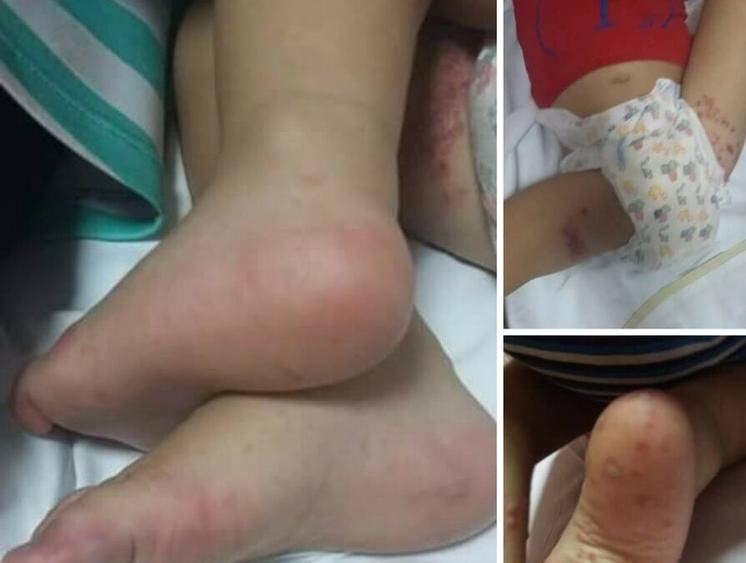 بالصور: أتاكم "الكوكزاكي" أيّها اللبنانيّون!