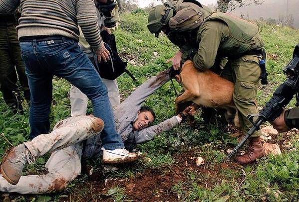 المكتب الوطني للدفاع عن الارض: 'اسرائيل" تشن حربا مفتوحة على الفلسطينيين